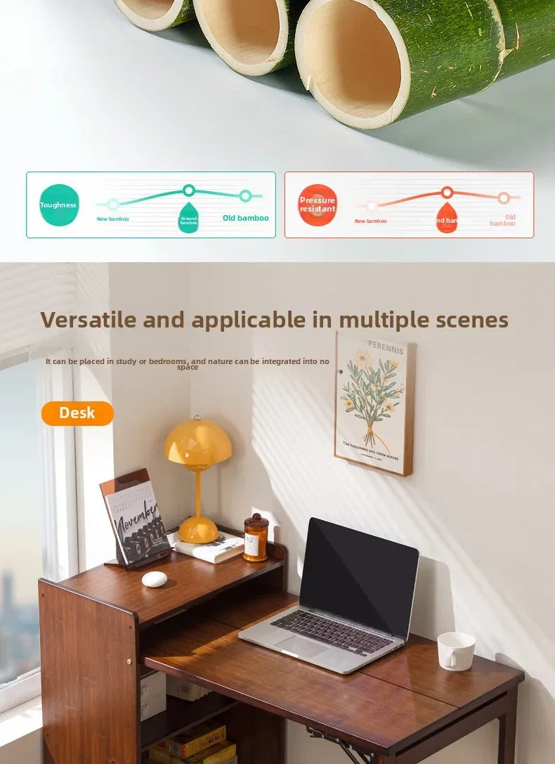 Wooden Computer Desk with Storage Cabinet